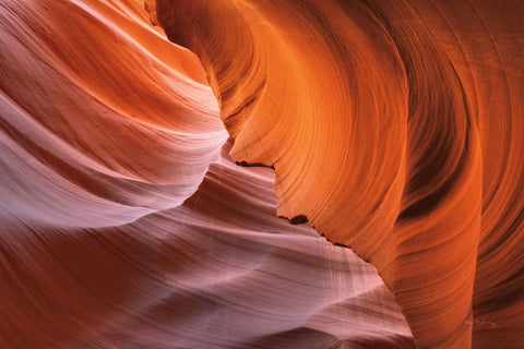 Lower Antelope Canyon I - Wall Art - By Alan Majchrowicz- Gallery Art Company