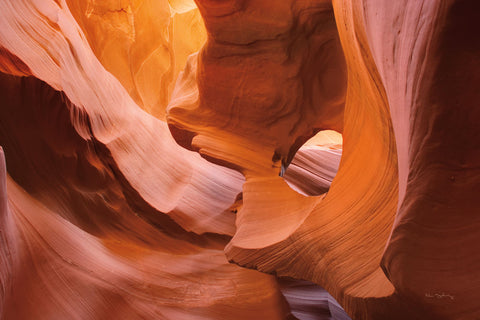 Lower Antelope Canyon II - Wall Art - By Alan Majchrowicz- Gallery Art Company