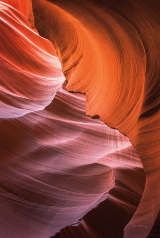 Lower Antelope Canyon VIII - Wall Art - By Alan Majchrowicz- Gallery Art Company