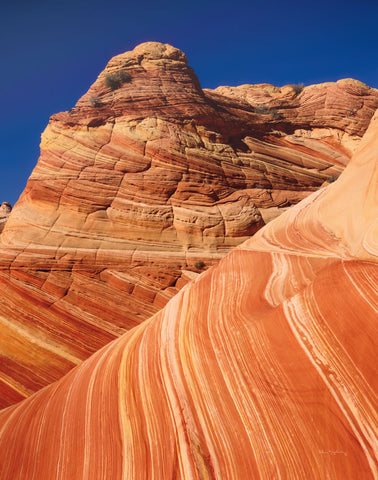 Coyote Buttes I - Wall Art - By Alan Majchrowicz- Gallery Art Company