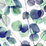 Vibrant Leaves 1 - Wall Art - By Dianne Poinski- Gallery Art Company