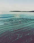 Grow Calm - Wall Art - By Urban Epiphany- Gallery Art Company
