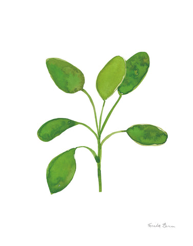 Fresh and Green VII - Wall Art - By Farida Zaman- Gallery Art Company