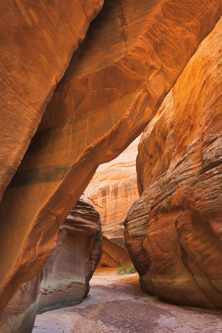 Buckskin Gulch I - Wall Art - By Alan Majchrowicz- Gallery Art Company
