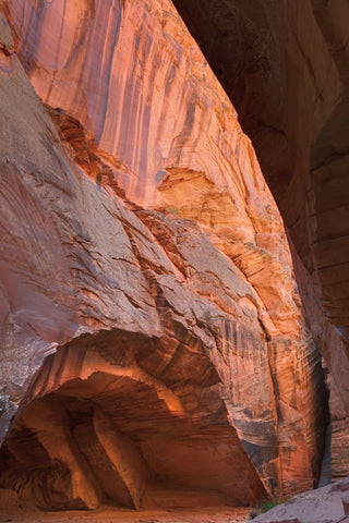 Buckskin Gulch II - Wall Art - By Alan Majchrowicz- Gallery Art Company