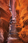 Buckskin Gulch IV - Wall Art - By Alan Majchrowicz- Gallery Art Company