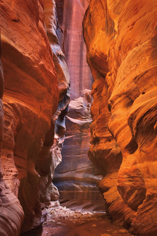 Buckskin Gulch IV - Wall Art - By Alan Majchrowicz- Gallery Art Company