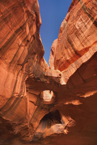 Neon Canyon I - Wall Art - By Alan Majchrowicz- Gallery Art Company