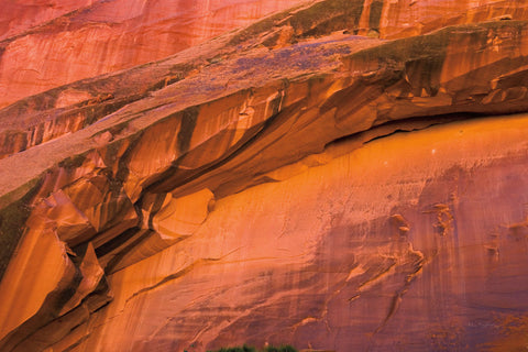 Neon Canyon II - Wall Art - By Alan Majchrowicz- Gallery Art Company