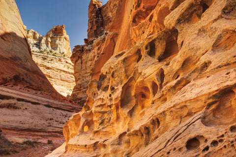 Crack Canyon I - Wall Art - By Alan Majchrowicz- Gallery Art Company