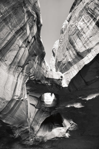 Neon Canyon I BW - Wall Art - By Alan Majchrowicz- Gallery Art Company