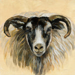 Highland Animal Ram - Wall Art - By Silvia Vassileva- Gallery Art Company