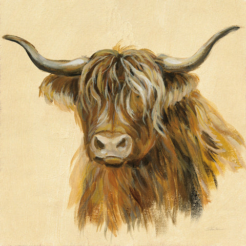Highland Animal Cow - Wall Art - By Silvia Vassileva- Gallery Art Company