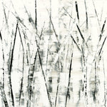 Birches II - Wall Art - By Sharon Gordon- Gallery Art Company