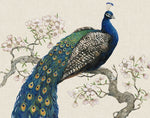 Peacock & Blossoms I - Wall Art - By Tim O'Toole- Gallery Art Company