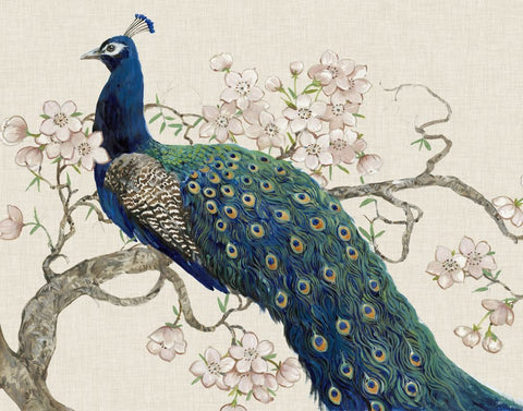 Peacock & Blossoms II - Wall Art - By Tim O'Toole- Gallery Art Company