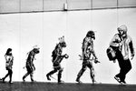 Evolution - Wall Art - By Tatsuo Suzuki- Gallery Art Company
