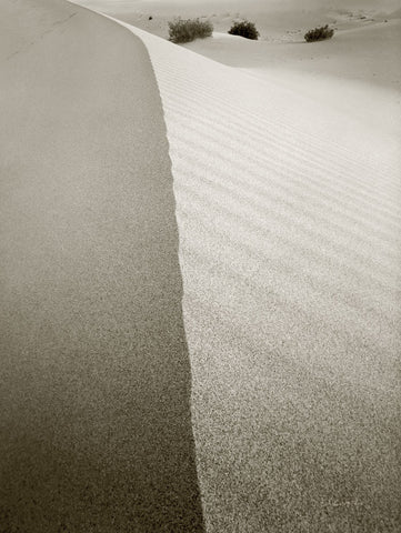 Desert Edge - Wall Art - By Ed Goldstein- Gallery Art Company