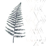 Nordic Fern I - Wall Art - By Melissa Averinos- Gallery Art Company