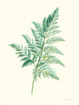 Leaf Study I - Wall Art - By Danhui Nai- Gallery Art Company