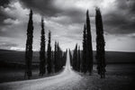 Travelling in Tuscany - Wall Art - By Aledanda- Gallery Art Company