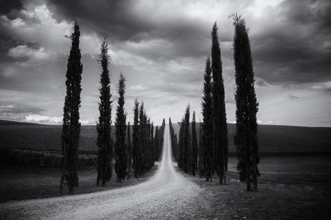 Travelling in Tuscany - Wall Art - By Aledanda- Gallery Art Company