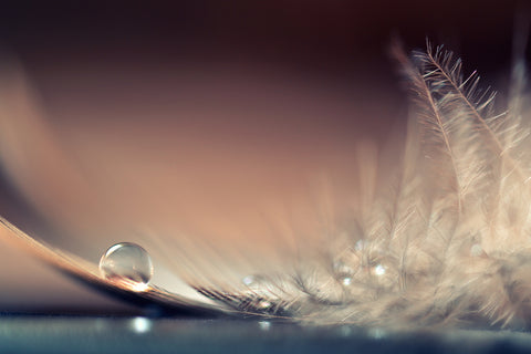 Stories of Drops - Wall Art - By Dmitry Doronin- Gallery Art Company