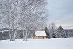 Barn with a View - Wall Art - By Aledanda- Gallery Art Company