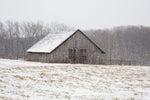 First Snow - Wall Art - By Aledanda- Gallery Art Company