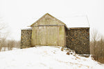 Majestic in the Snow - Wall Art - By Aledanda- Gallery Art Company