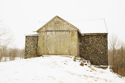 Majestic in the Snow - Wall Art - By Aledanda- Gallery Art Company