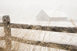 Snowy Day - Wall Art - By Aledanda- Gallery Art Company