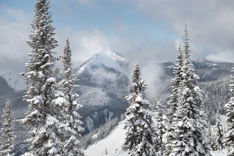 North Cascades in Winter I - Wall Art - By Alan Majchrowicz- Gallery Art Company
