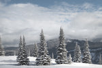 North Cascades in Winter II - Wall Art - By Alan Majchrowicz- Gallery Art Company