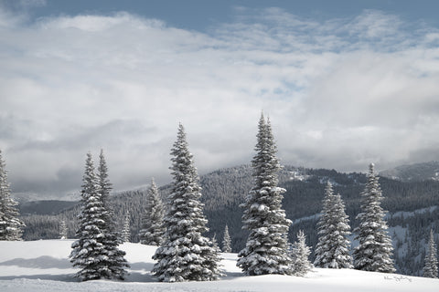 North Cascades in Winter II - Wall Art - By Alan Majchrowicz- Gallery Art Company