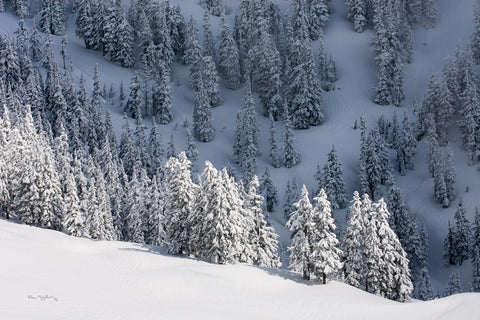 North Cascades in Winter III - Wall Art - By Alan Majchrowicz- Gallery Art Company