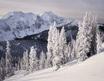 Cariboo Mountains - Wall Art - By Alan Majchrowicz- Gallery Art Company