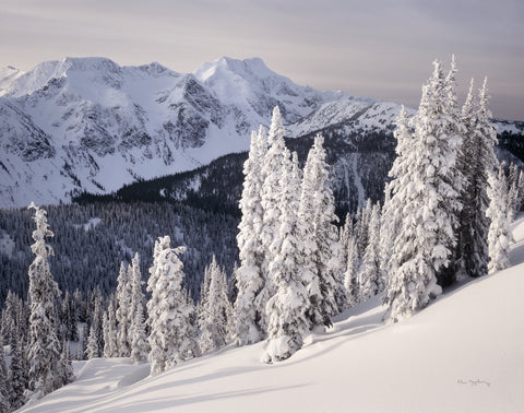 Cariboo Mountains - Wall Art - By Alan Majchrowicz- Gallery Art Company