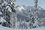 Nooksack Ridge in Winter - Wall Art - By Alan Majchrowicz- Gallery Art Company