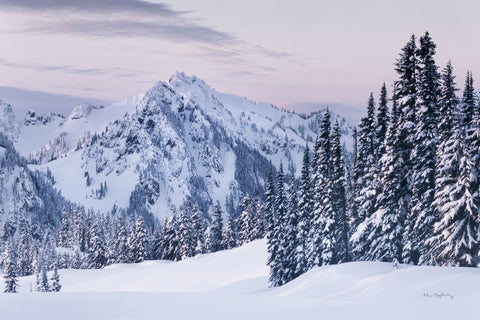 Tatoosh Range - Wall Art - By Alan Majchrowicz- Gallery Art Company