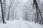 Going Home - Wall Art - By Aledanda- Gallery Art Company