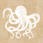 Driftwood Coast IV White Burlap - Wall Art - By Sue Schlabach- Gallery Art Company