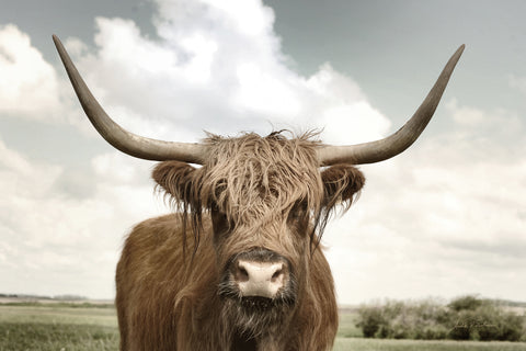 On the Ranch IV - Wall Art - By Andre Eichman- Gallery Art Company