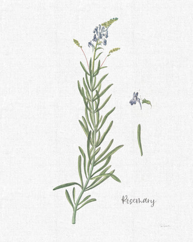 Cottage Herbs I Linen - Wall Art - By Sue Schlabach- Gallery Art Company