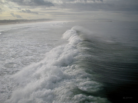 Silver Wave - Wall Art - By Ed Goldstein- Gallery Art Company