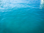 The Calm - Wall Art - By Ed Goldstein- Gallery Art Company