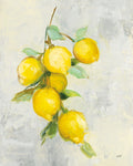 Zest I - Wall Art - By Julia Purinton- Gallery Art Company