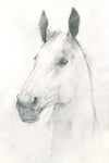 Caesar - Wall Art - By Avery Tillmon- Gallery Art Company
