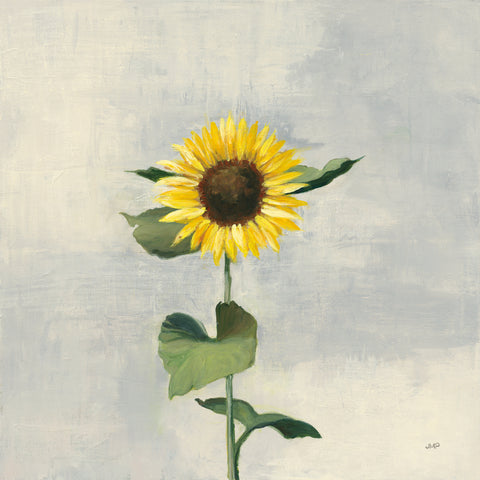 Sunny Blooms II - Wall Art - By Julia Purinton- Gallery Art Company