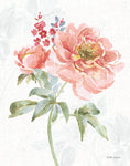 Floral Focus VI - Wall Art - By Beth Grove- Gallery Art Company